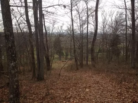 683 Bailey Bridge Road Limestone Tn 37681, Limestone, TN 37681 photo 4