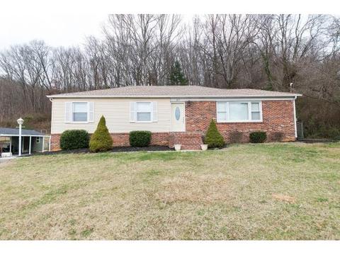 217 Oakview Dr, Bristol, VA 24201 photo 1