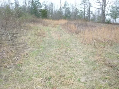412 Cannon Loop Chuckey Tn 37641, Chuckey, TN 37641 photo 18