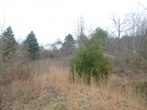 412 Cannon Loop Chuckey Tn 37641, Chuckey, TN 37641 photo 17
