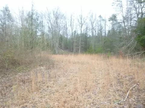 412 Cannon Loop Chuckey Tn 37641, Chuckey, TN 37641 photo 20