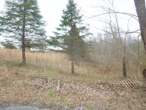 412 Cannon Loop Chuckey Tn 37641, Chuckey, TN 37641 photo 10