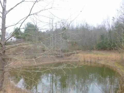 412 Cannon Loop Chuckey Tn 37641, Chuckey, TN 37641 photo 16