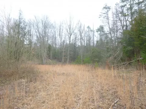 412 Cannon Loop Chuckey Tn 37641, Chuckey, TN 37641 photo 23