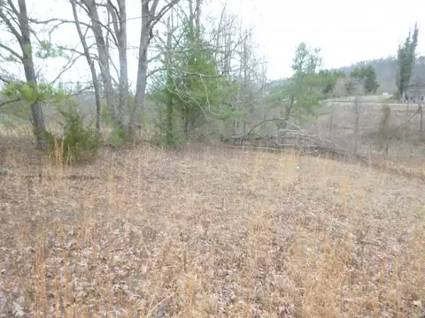 412 Cannon Loop Chuckey Tn 37641, Chuckey, TN 37641 photo 22