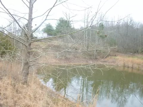 412 Cannon Loop Chuckey Tn 37641, Chuckey, TN 37641 photo 14