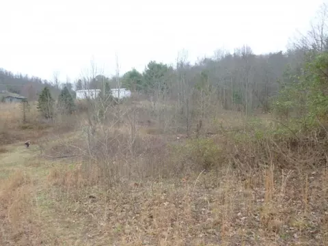 412 Cannon Loop Chuckey Tn 37641, Chuckey, TN 37641 photo 21