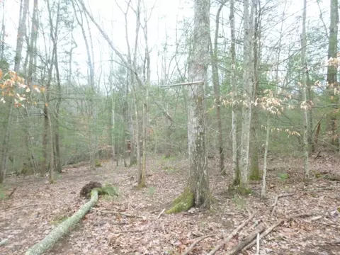 412 Cannon Loop Chuckey Tn 37641, Chuckey, TN 37641 photo 27
