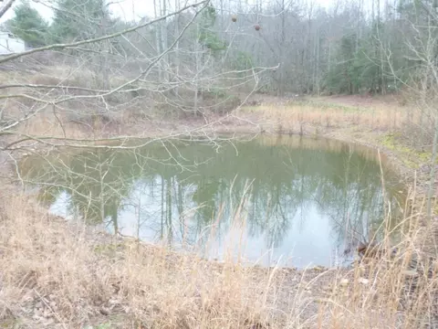 412 Cannon Loop Chuckey Tn 37641, Chuckey, TN 37641 photo 8