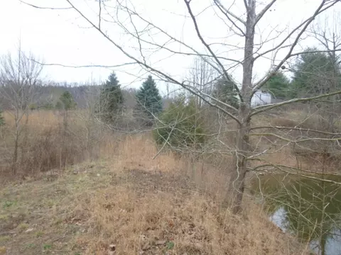 412 Cannon Loop Chuckey Tn 37641, Chuckey, TN 37641 photo 15
