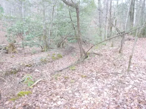 412 Cannon Loop Chuckey Tn 37641, Chuckey, TN 37641 photo 29
