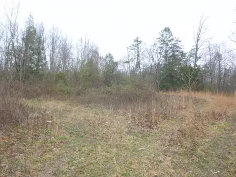 412 Cannon Loop Chuckey Tn 37641, Chuckey, TN 37641 photo 19