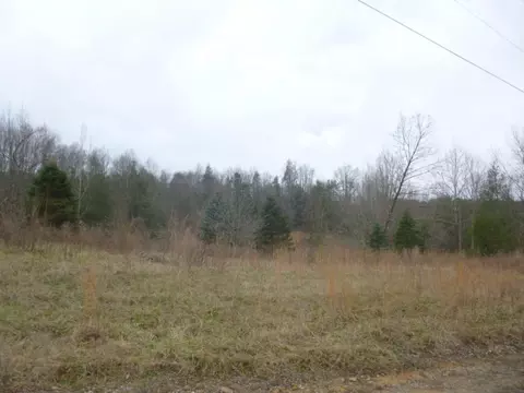 412 Cannon Loop Chuckey Tn 37641, Chuckey, TN 37641 photo 6