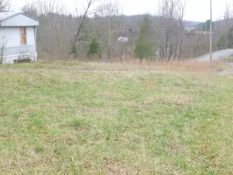 412 Cannon Loop Chuckey Tn 37641, Chuckey, TN 37641 photo 3