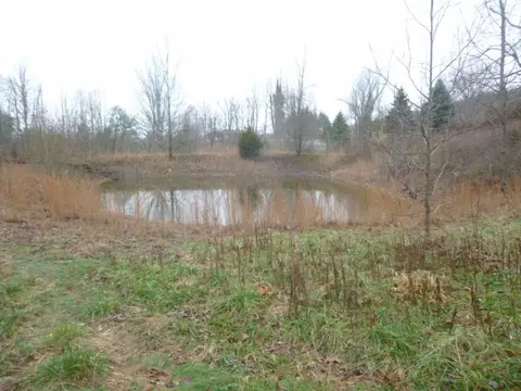 412 Cannon Loop Chuckey Tn 37641, Chuckey, TN 37641 photo 31