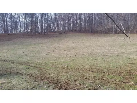198 Coxes Springs Road Fall Branch Tn 37656, Fall Branch, TN 37656 photo 4