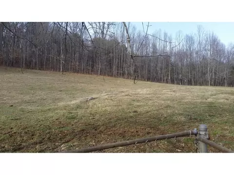 198 Coxes Springs Road Fall Branch Tn 37656, Fall Branch, TN 37656 photo 3