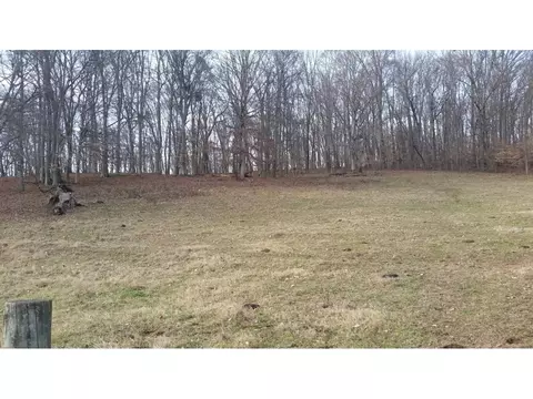 198 Coxes Springs Road Fall Branch Tn 37656, Fall Branch, TN 37656 photo 6
