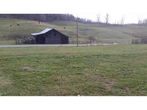 198 Coxes Springs Road Fall Branch Tn 37656, Fall Branch, TN 37656 photo 8