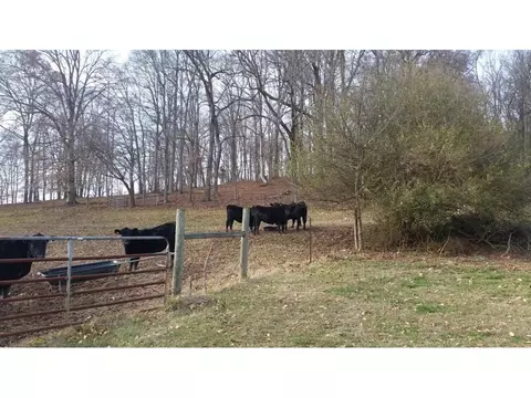 198 Coxes Springs Road Fall Branch Tn 37656, Fall Branch, TN 37656 photo 9