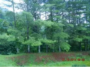 1047 Coffee Ridge Loop Erwin Tn 37650, Erwin, TN 37650 photo 3