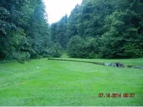 1047 Coffee Ridge Loop Erwin Tn 37650, Erwin, TN 37650 photo 9
