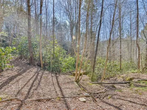 2397 Spivey Mountain Road Erwin Tn 37650, Erwin, TN 37650 photo 33