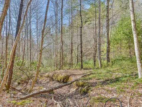 2397 Spivey Mountain Road Erwin Tn 37650, Erwin, TN 37650 photo 32