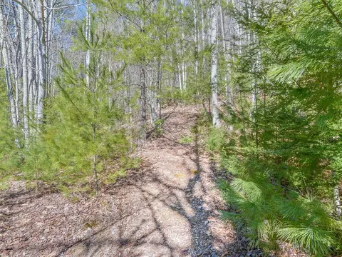 2397 Spivey Mountain Road Erwin Tn 37650, Erwin, TN 37650 photo 31