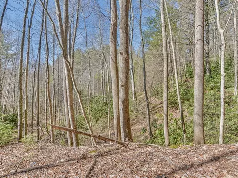 2397 Spivey Mountain Road Erwin Tn 37650, Erwin, TN 37650 photo 34