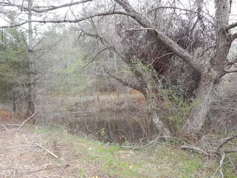 1875 Flea Ridge Road Mohawk Tn 37810, Mohawk, TN 37810 photo 4