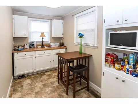 115 West Pine Street, Johnson City, TN 37604 photo 8