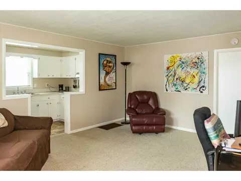 115 West Pine Street, Johnson City, TN 37604 photo 4