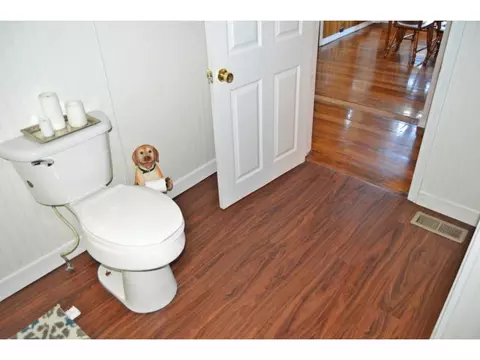 328 Piney Grove Road Hampton Tn 37658, Hampton, TN 37658 photo 19