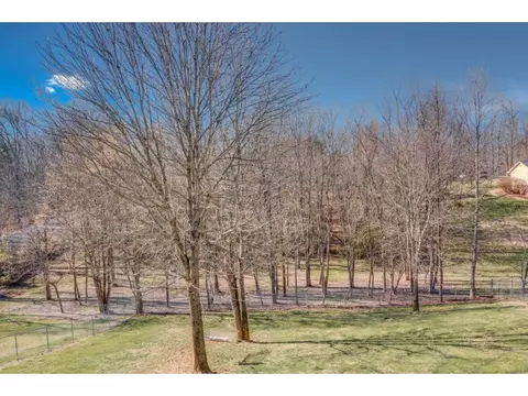 136 Hermosa Drive Fall Branch Tn 37656, Fall Branch, TN 37656 photo 23