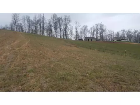 470 Branch Road Fall Branch Tn 37656, Fall Branch, TN 37656 photo 14