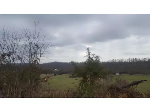 470 Branch Road Fall Branch Tn 37656, Fall Branch, TN 37656 photo 7