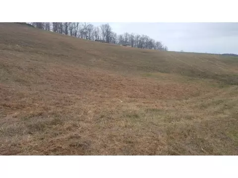 470 Branch Road Fall Branch Tn 37656, Fall Branch, TN 37656 photo 18