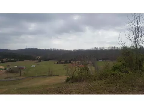 470 Branch Road Fall Branch Tn 37656, Fall Branch, TN 37656 photo 5