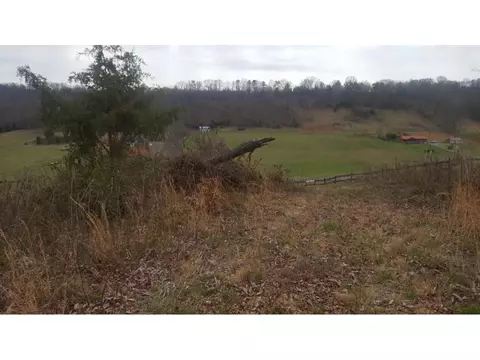470 Branch Road Fall Branch Tn 37656, Fall Branch, TN 37656 photo 9