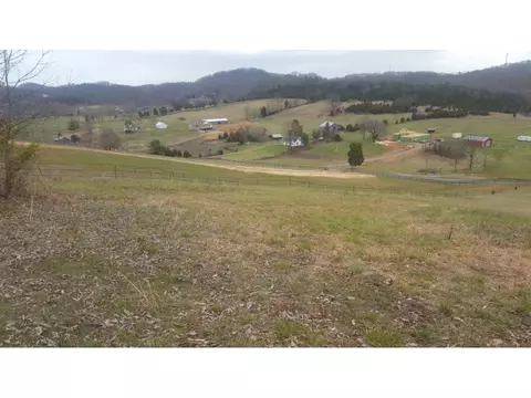 470 Branch Road Fall Branch Tn 37656, Fall Branch, TN 37656 photo 3
