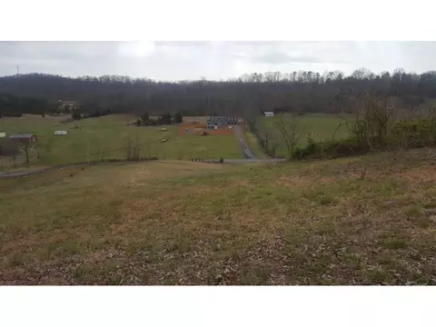 470 Branch Road Fall Branch Tn 37656, Fall Branch, TN 37656 photo 10