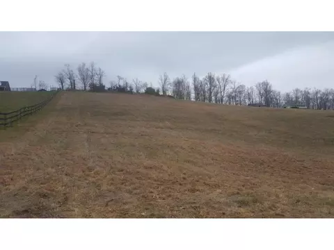 470 Branch Road Fall Branch Tn 37656, Fall Branch, TN 37656 photo 21