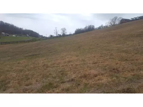 470 Branch Road Fall Branch Tn 37656, Fall Branch, TN 37656 photo 16