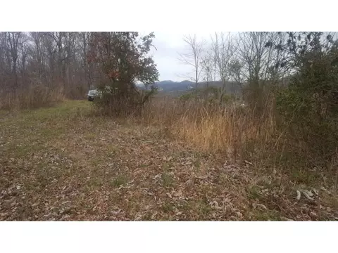 470 Branch Road Fall Branch Tn 37656, Fall Branch, TN 37656 photo 8