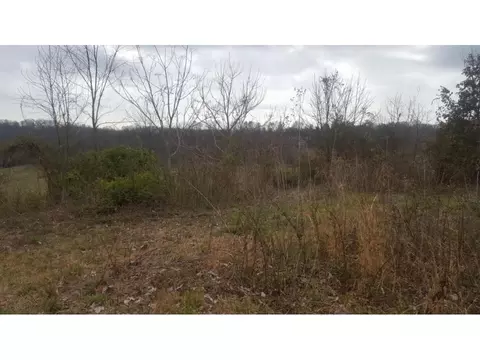 470 Branch Road Fall Branch Tn 37656, Fall Branch, TN 37656 photo 13