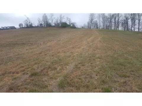 470 Branch Road Fall Branch Tn 37656, Fall Branch, TN 37656 photo 15