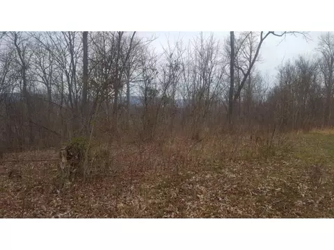 470 Branch Road Fall Branch Tn 37656, Fall Branch, TN 37656 photo 6