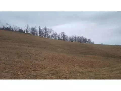470 Branch Road Fall Branch Tn 37656, Fall Branch, TN 37656 photo 19