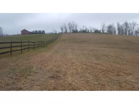 470 Branch Road Fall Branch Tn 37656, Fall Branch, TN 37656 photo 20